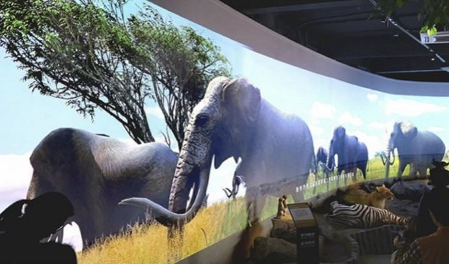 World’s first VR zoo looks to delight animal fans in China - Because